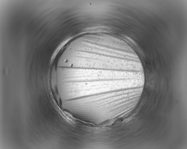 X0000053151196200508081402