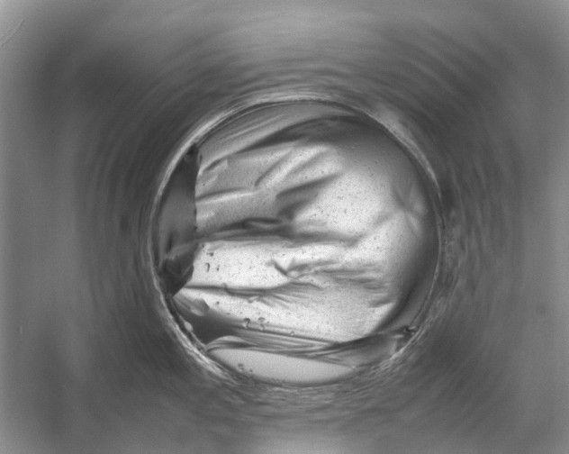 X0000053151197200508081402