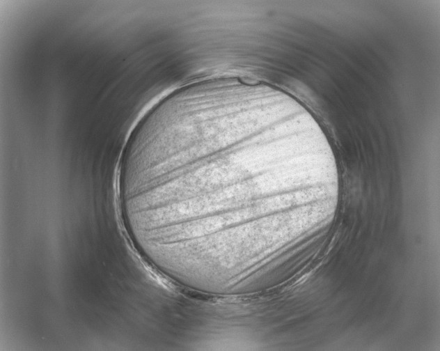 X0000053151198200508081402