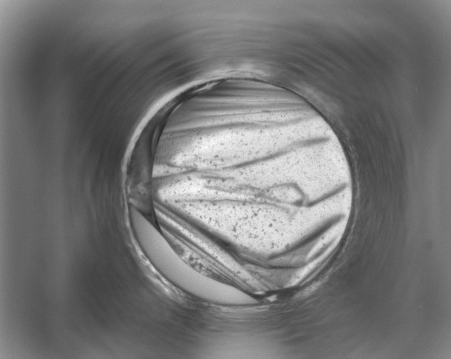 X0000053151200200508081402