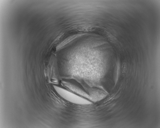 X0000053151202200508081401