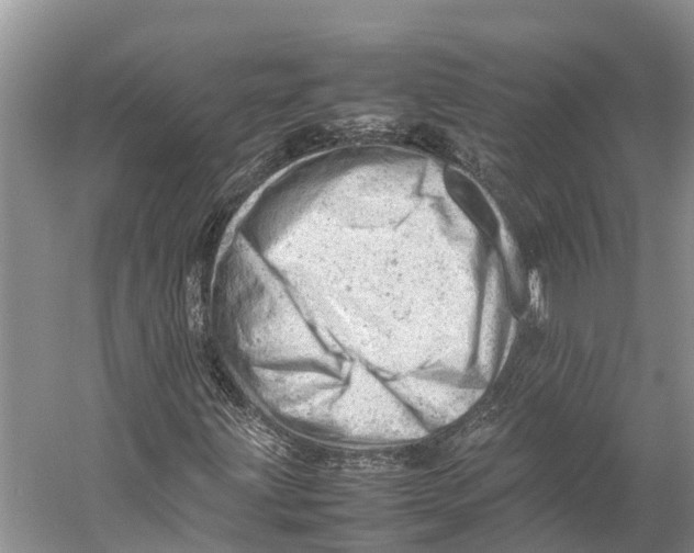 X0000053151203200508081401