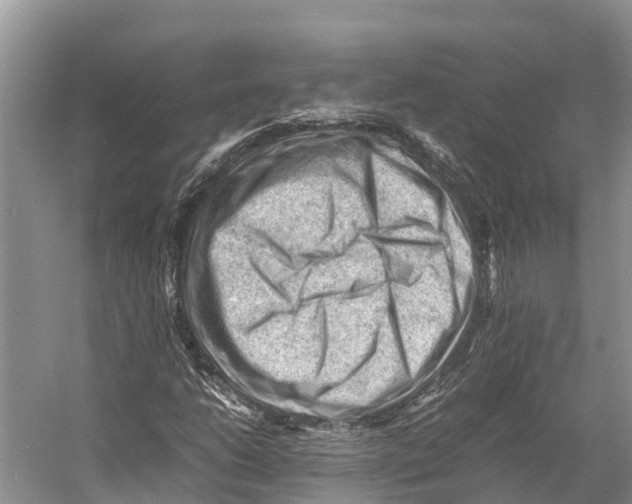 X0000053151206200508081401