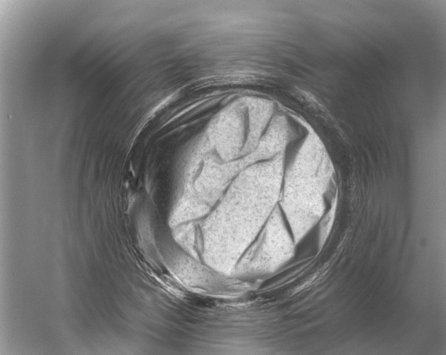 X0000053151210200508081401