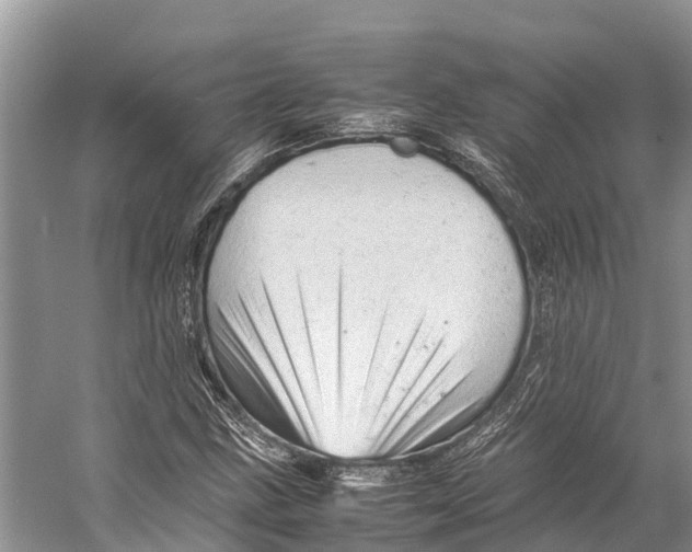 X0000053151211200508081401