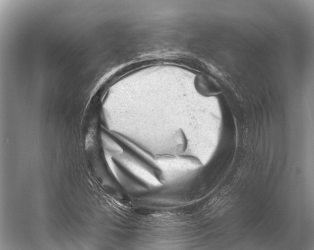 X0000053151214200508081401