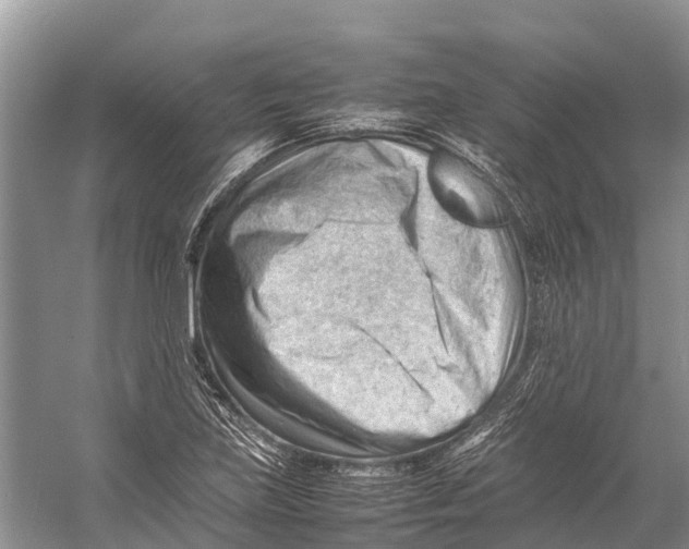 X0000053151219200508081402