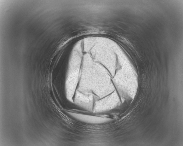 X0000053151220200508081402