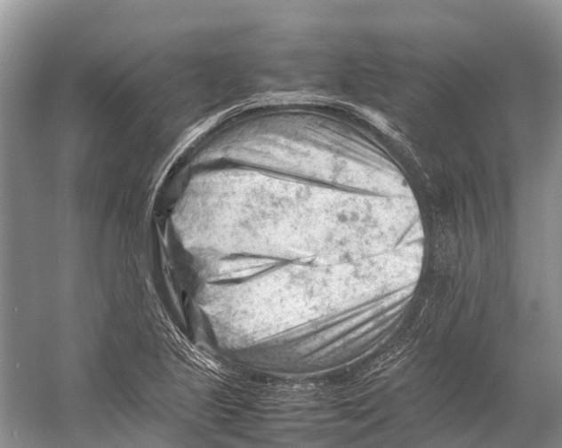 X0000053151221200508081402