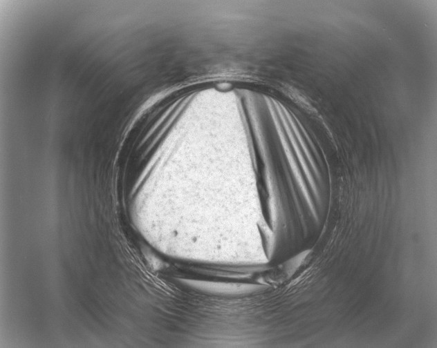 X0000053151222200508081402