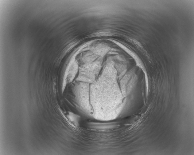 X0000053151225200508081402