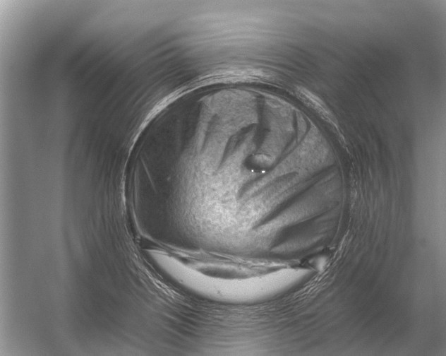 X0000053151226200508081402