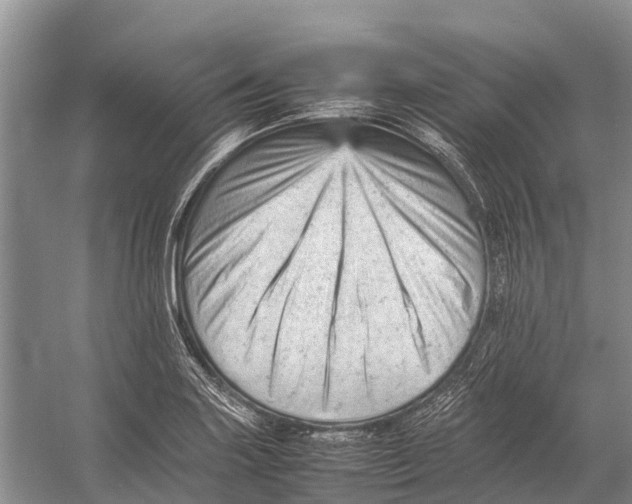 X0000053151227200508081402