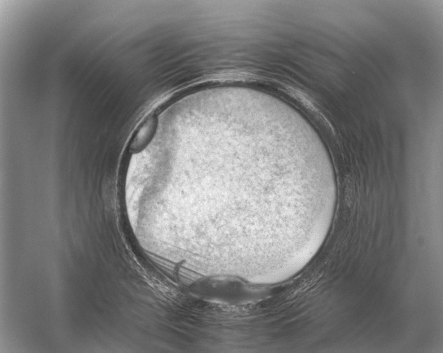 X0000053151229200508081402