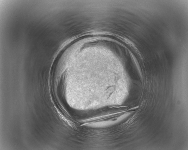 X0000053151231200508081402