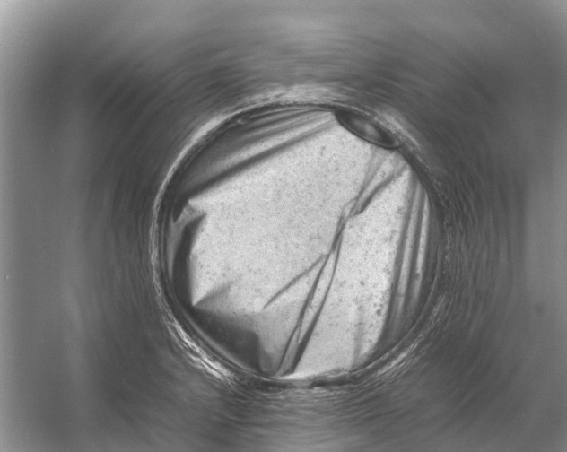 X0000053151232200508081402