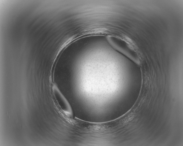 X0000053151234200508081402