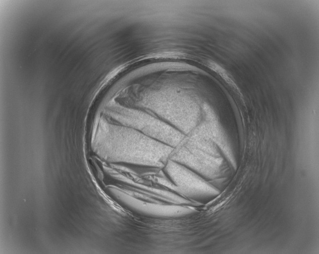 X0000053151237200508081402