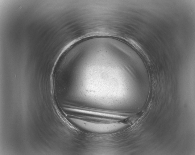 X0000053151238200508081402