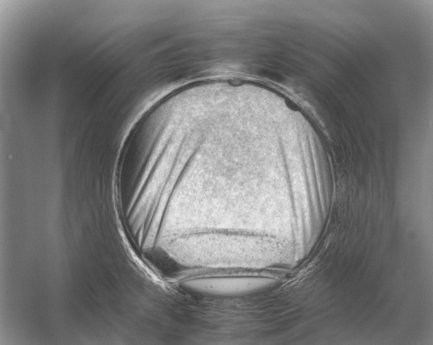 X0000053151239200508081402