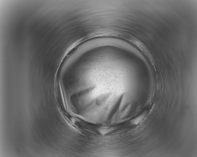 X0000053151242200508081402