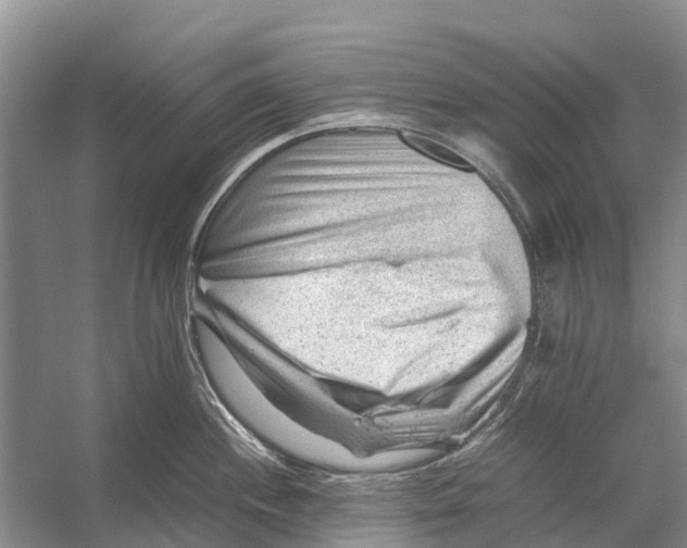 X0000053151244200508081402