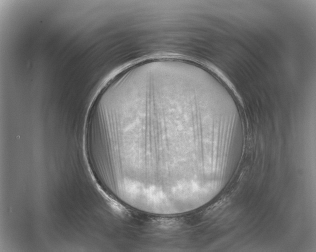 X0000053151245200508081402