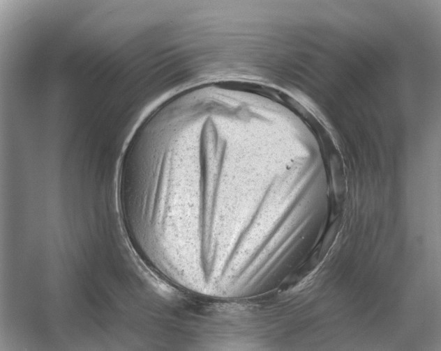 X0000053151246200508081402