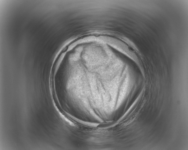 X0000053151247200508081402