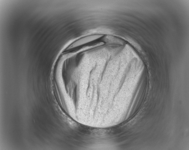 X0000053151248200508081402