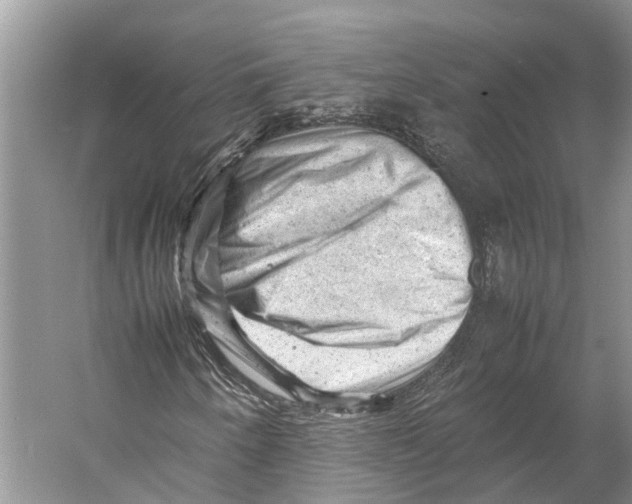 X0000053151250200508081401