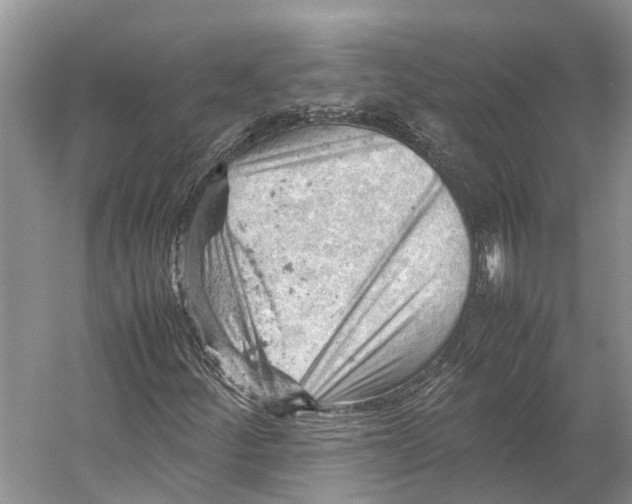 X0000053151252200508081401