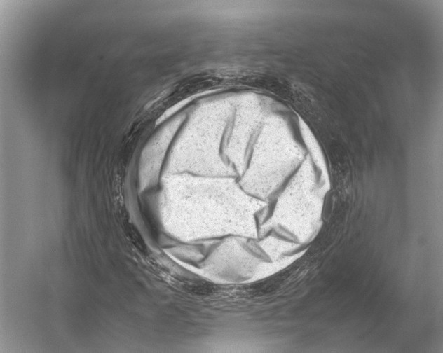 X0000053151253200508081401