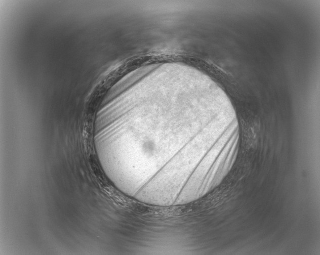 X0000053151254200508081401