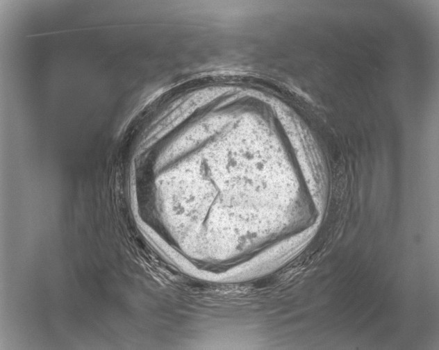 X0000053151255200508081401