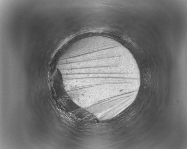 X0000053151256200508081401