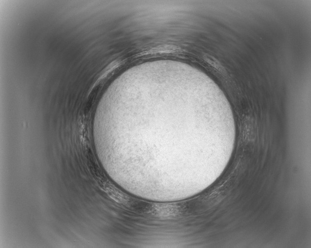 X0000053151258200508081401