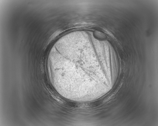 X0000053151259200508081401