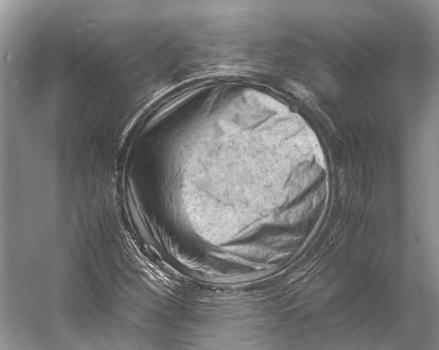 X0000053151260200508081401