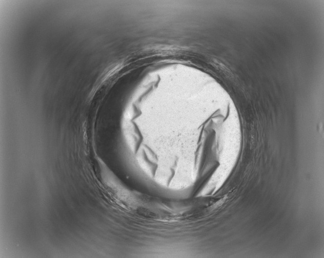 X0000053151261200508081401