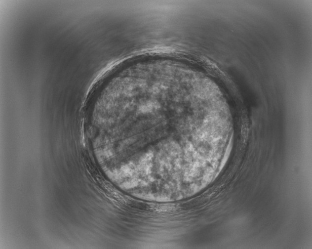 X0000053151262200508081401