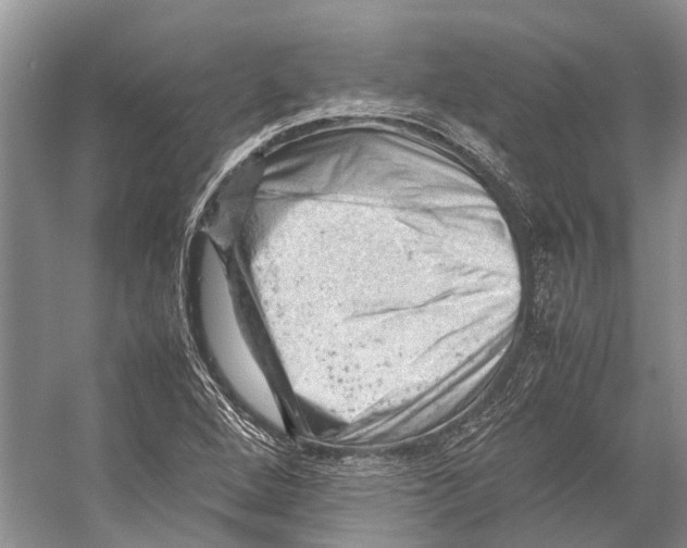 X0000053151264200508081401