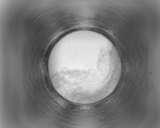 X0000053151266200508081401