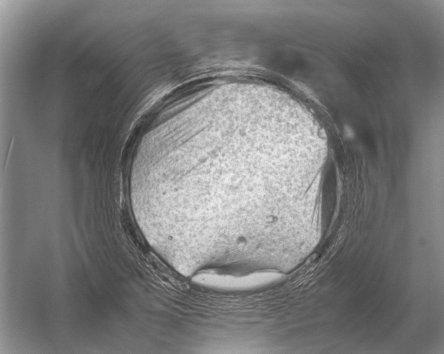 X0000053151267200508081401