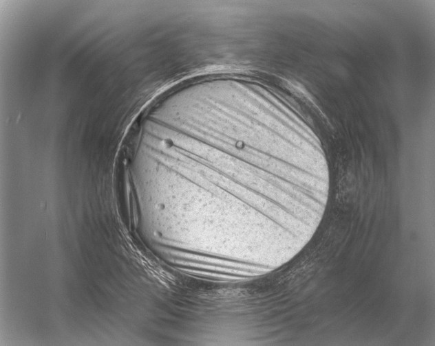 X0000053151268200508081401