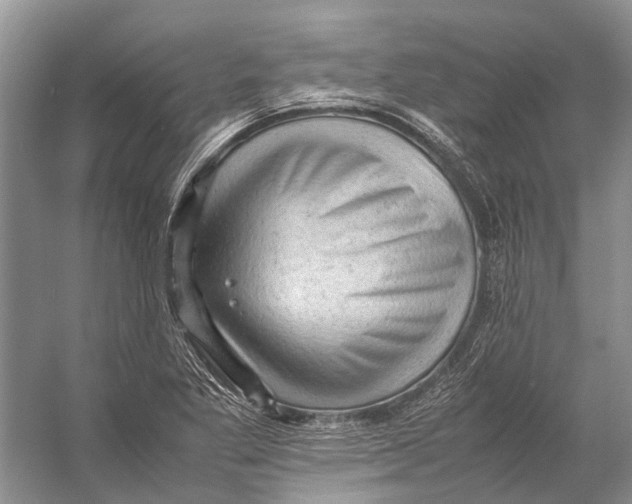 X0000053151269200508081401