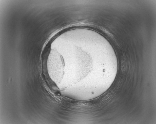 X0000053151270200508081401