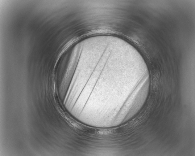 X0000053151274200508081401