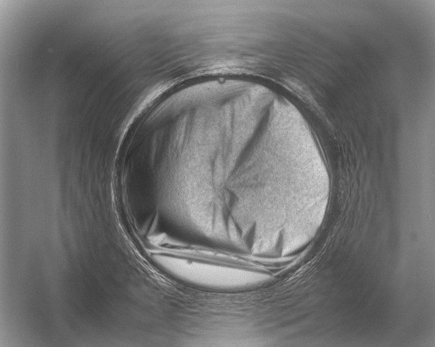 X0000053151277200508081401