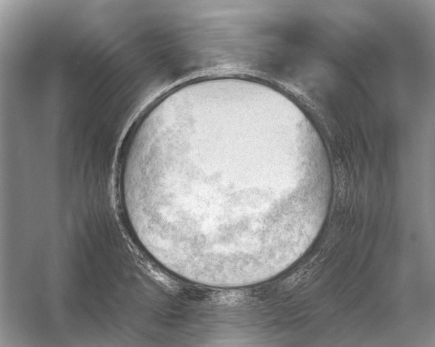 X0000053151278200508081401